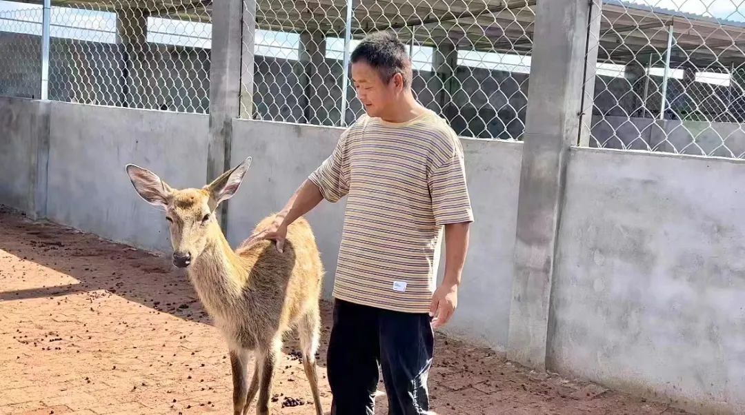 永利打鱼平台